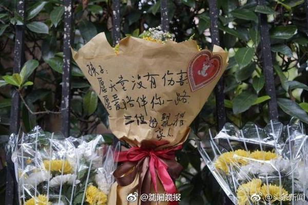 塞蒂恩：张玉宁缺阵、柏杨未随队，我们只能在有限的情况下做选择